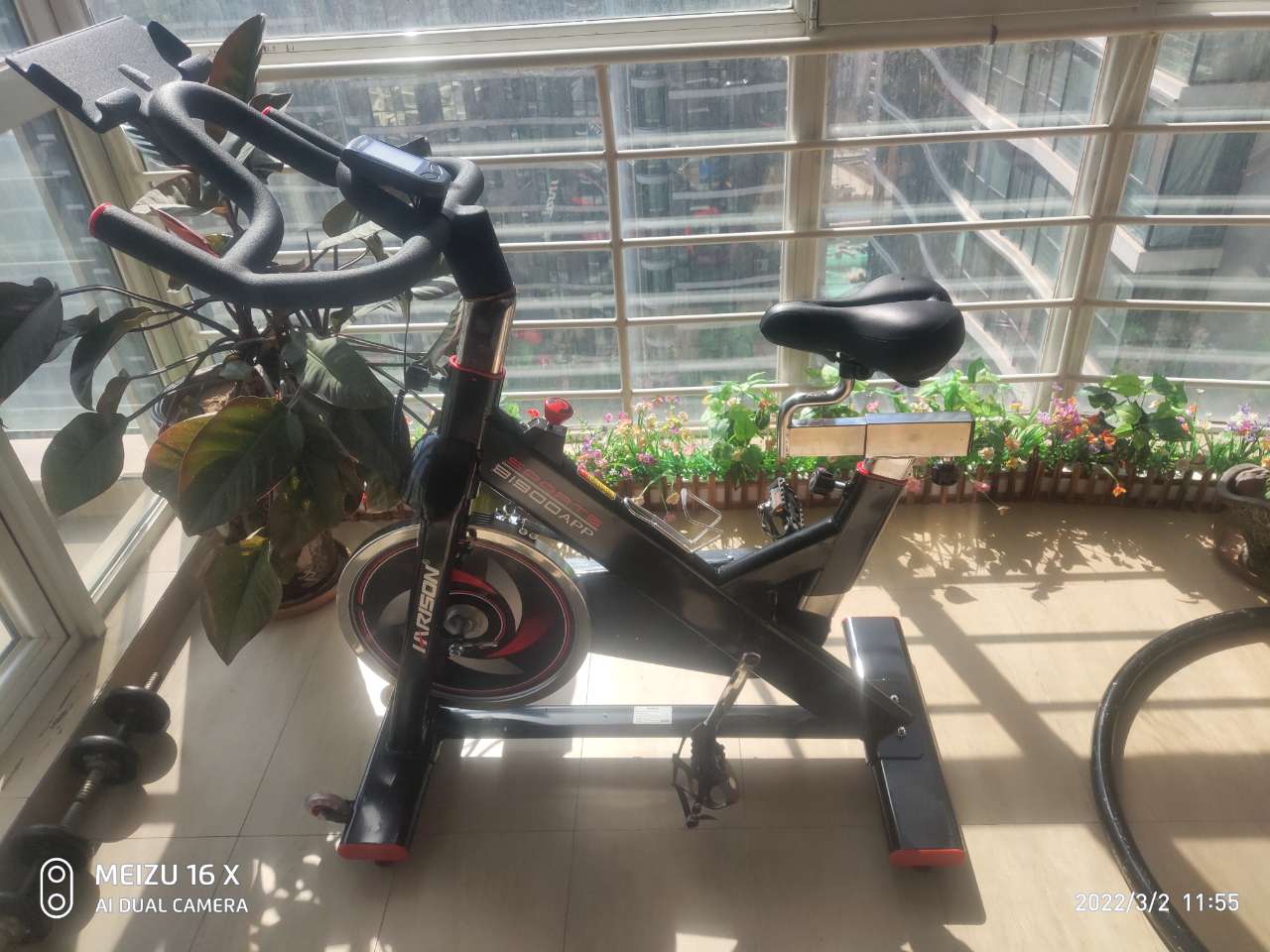 麻豆色欲AV传媒在线观看